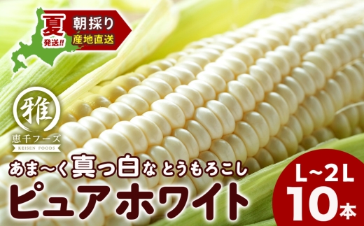 【2027年夏発送】白いとうもろこし ピュアホワイト L～2L 10本 恵千フーズ