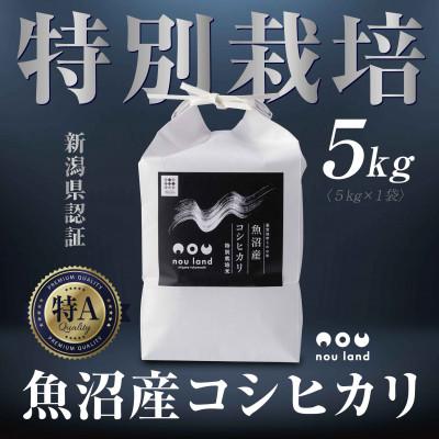 ふるさと納税 十日町市 【令和7年産 新米予約】 農家直送 魚沼産 コシヒカリ 特別栽培米 5kg 十日町市 のうランド