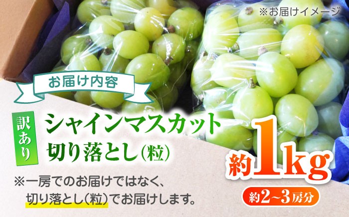 訳あり シャインマスカット 切り落とし 約1kg ブドウ 葡萄 ぶどう 国産 果物 くだもの フルーツ 熊本県 山鹿市