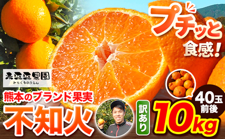 【先行予約】みかん 不知火 訳あり 不知火 10kg 