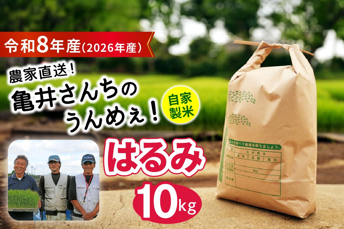 
                  新米 [令和8年産／10月中旬より順次発送] 伊勢原産 精米 10kg (5kg×2袋) はるみ 農家直送！亀井さんちのうんめぇ！自家製米｜先行予約 お米 おこめ コメ 白米 神奈川 ブランド米 2026年 産地直送 [1139]
                