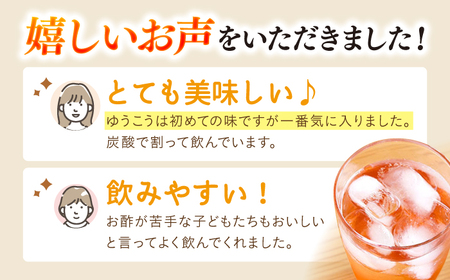 飲む 玄米酢 酢らり 大瓶 2本 セット（いちご・ゆうこう）＜川添酢造＞ [CDN034] 果実酢 酢 