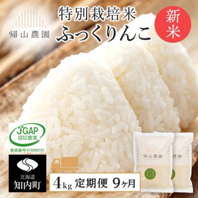 ふるさと納税 知内町 【令和8年産新米先行受付】【9カ月定期便】特別栽培米産地直送ふっくりんこ2kg×2個セット 箱入