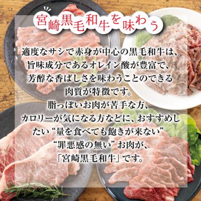 ふるさと納税 高原町 【宮崎県産】黒毛和牛Bセット1kg[ステーキ 焼肉 切り落としの3点セット] TF562 |  | 01