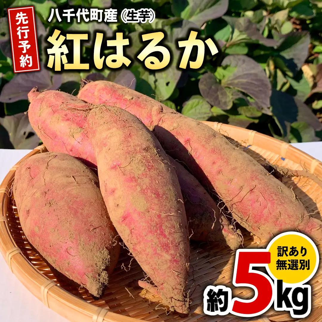 さつまいも 紅はるか 約5kg 訳あり サツマイモ