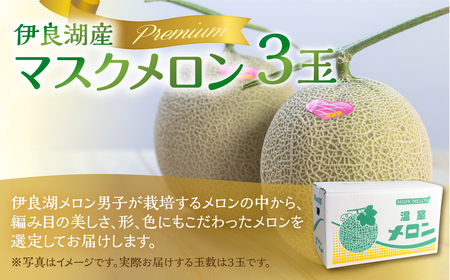 《先行予約》マスクメロン 3玉 プレミアム メロン 伊良湖メロン男子