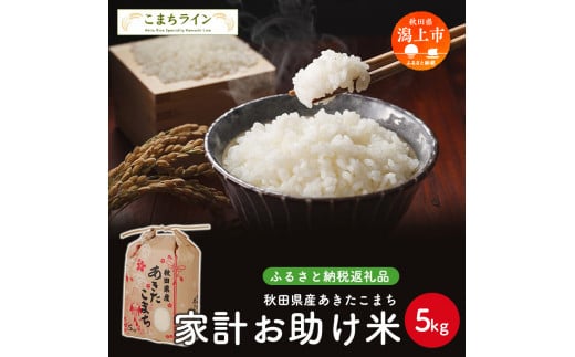 《新米先行予約》 新米 家計お助け米 あきたこまち 5kg 米 一等米 返礼品 こめ コメ 人気 おすすめ 5キロ 人気 おすすめ グルメ 故郷 ふるさと 納税 秋田 潟上市 一人暮らし 【こまちライン】
