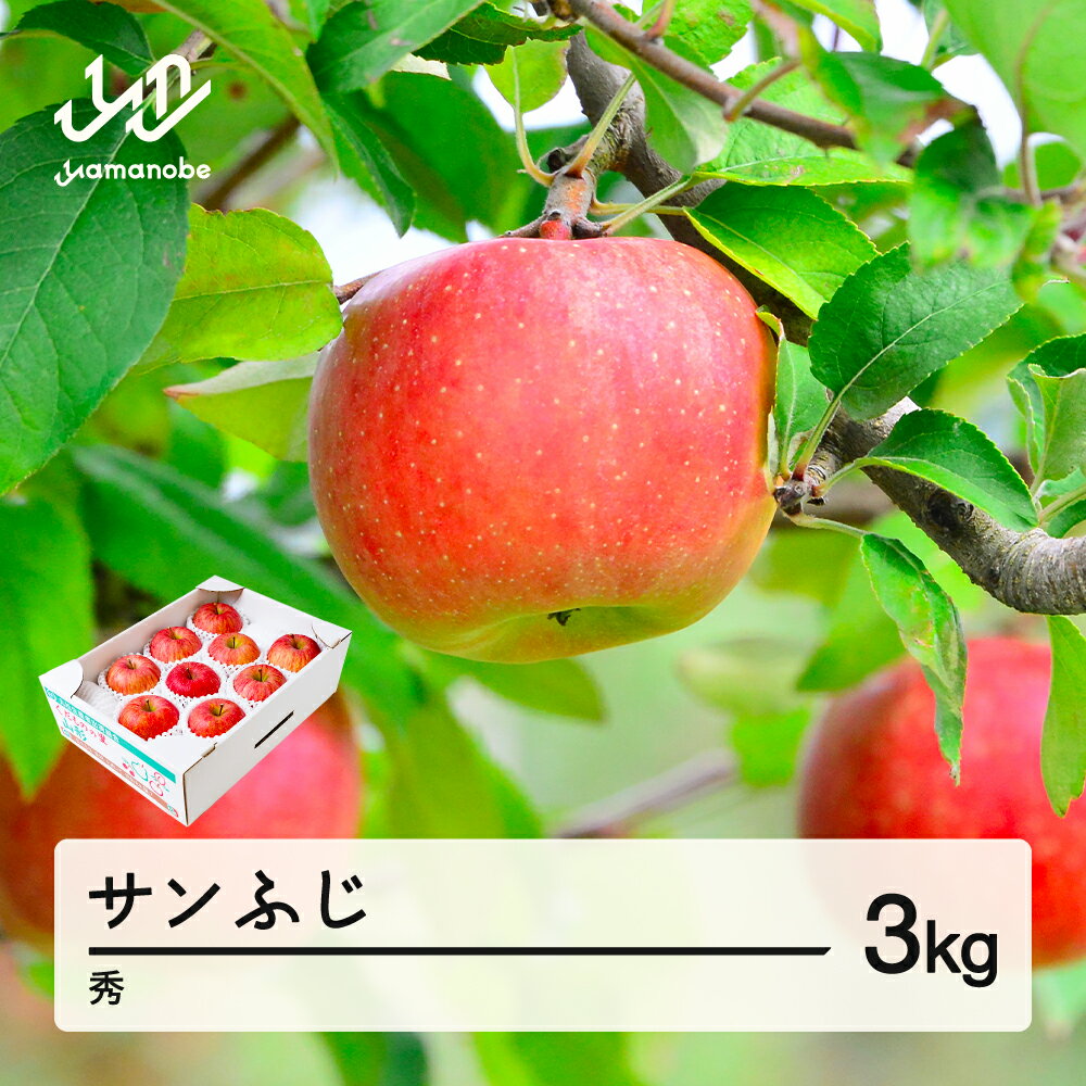 【ふるさと納税】【先行予約】りんご サンふじ 約3kg 秀品 リンゴ 林檎 令和7年産 2025年産 果物 山形県産 mm-risfs3