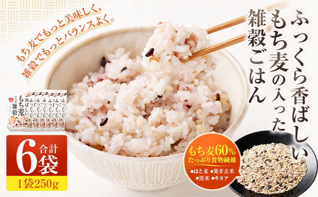 
                  ふっくら香ばしいもち麦の入った雑穀ごはん 250g×6袋 雑穀 雑穀米 コメ 米 国産 ご飯 ごはん 雑穀ごはん もち麦 発芽玄米 キヌア はと麦
                