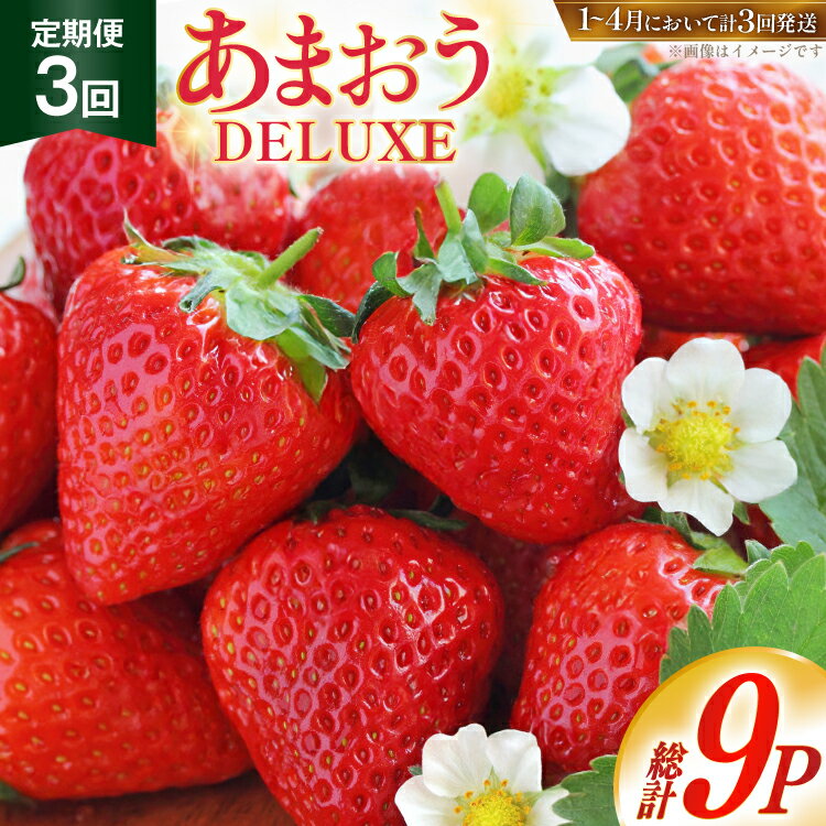 【ふるさと納税】【期間限定発送】 いちご 定期便 あまおう デラックス 3p 3回 総計9p [THE FARM_strawberry 福岡県 宇美町 um40azo780004] イチゴ 苺 フルーツ 果実 甘い 小分け
