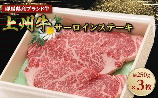 
上州牛サーロインステーキ　約250g×3枚【1455222】
