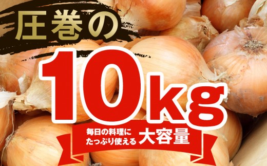【先行予約】農家直送 低農薬 旭川産 玉ねぎＬサイズ10kg(2026年9月発送開始予定)_06552