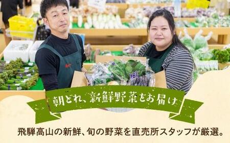 【2024年予約受付】飛騨 野菜セット 6～7点  飛騨高山産 野菜  秋野菜 おまかせ お取り寄せ 新鮮 産地直送 飛騨産 夏  秋 秋野菜  サラダ     あじか TR3076