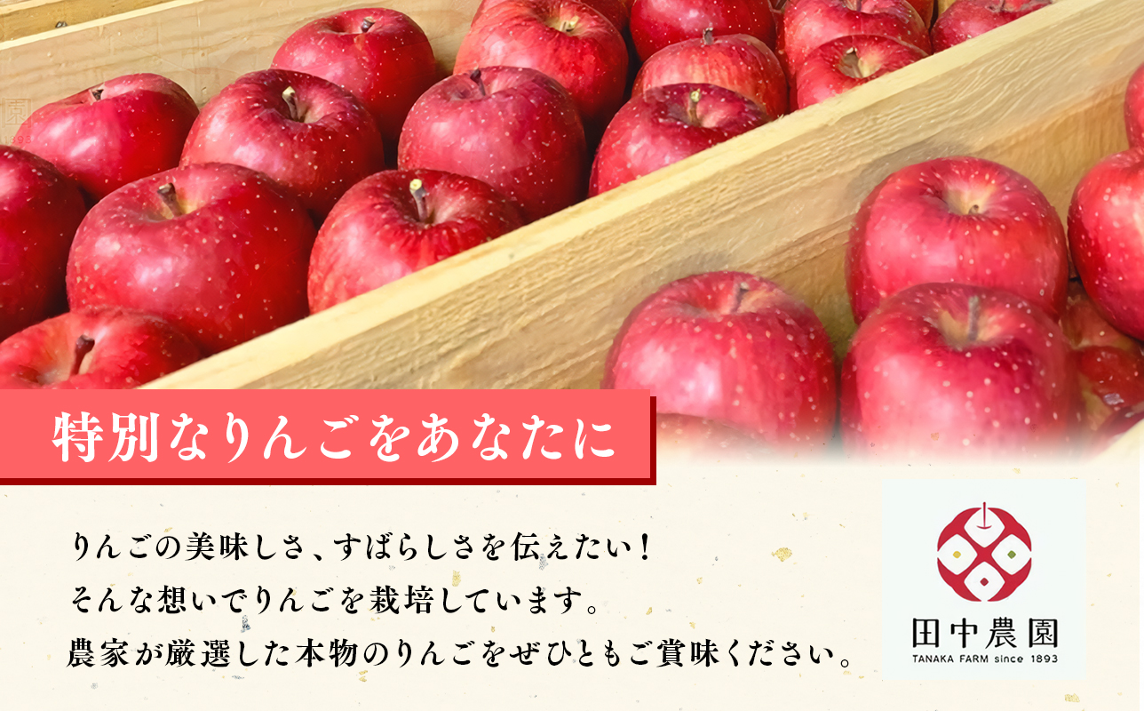 12月 100年の歴史 訳あり 家庭用サンふじ 約3kg【田中農園・青森県平川市産・青森りんご】