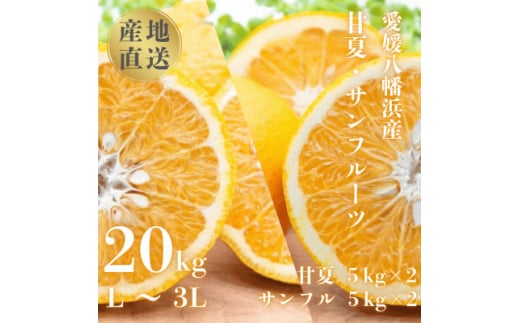 甘夏&サンフルーツ20kg (各10kg)＜H20-84＞【1625127】