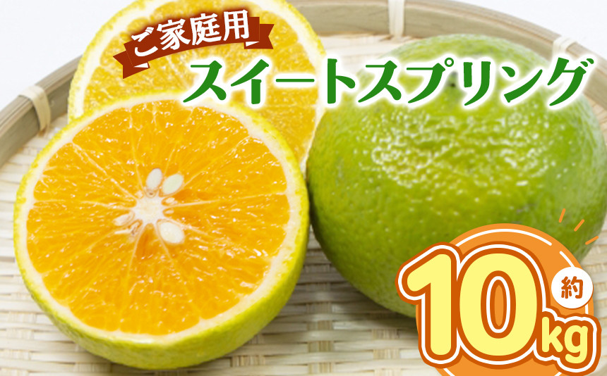 
熊本県産 ご家庭用 スイートスプリング 約 10 kg | フルーツ 果物 くだもの スイートスプリング 規格外品 訳あり お徳用 農家応援品 熊本県 天草 苓北町
