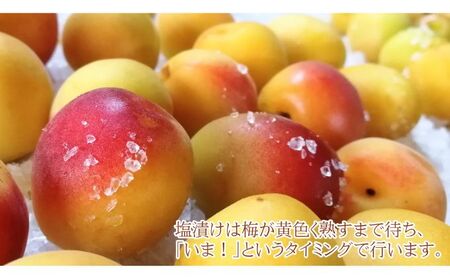 昔ながらの梅干し 一級品（福井県若狭町）伝統製法にこだわり仕上げた梅干し／袋入り300g ご飯のお供 肉厚 種が小さい 紅映 天然塩 鮮やか 芳醇な香り コク 紫蘇漬け 二度漬け すっぱい 