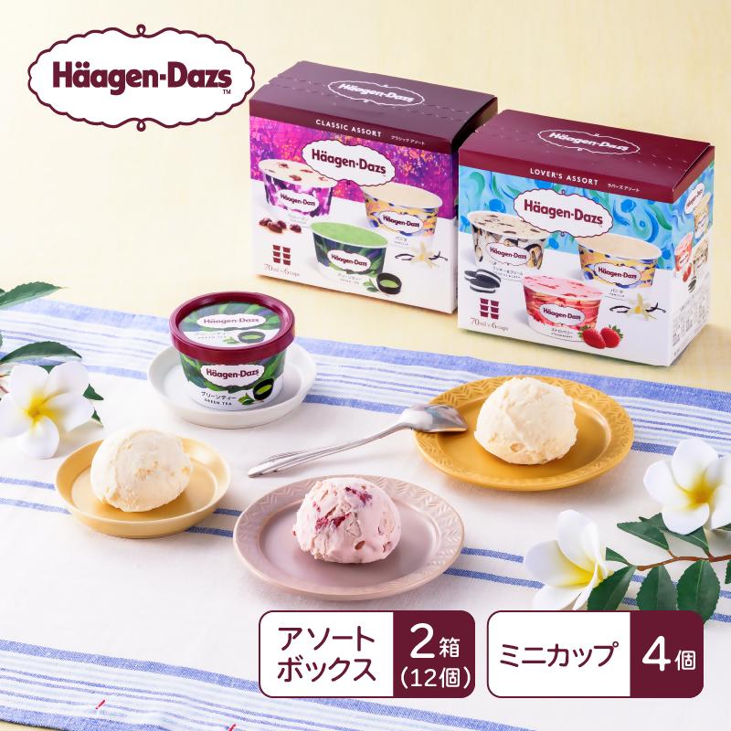 
                  【16A002】　ハーゲンダッツ／マルチパックセット
                