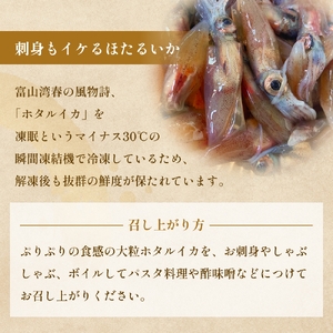 生冷凍ホタルイカ（凍眠） 300g 富山県 氷見市 ほたるいか しゃぶしゃぶ 冷凍