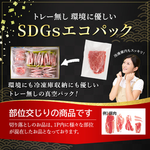 a844-A 黒毛和牛切り落とし(6P計120g)【水迫畜産】国産 肉 牛肉 黒毛和牛 切り落とし セット 小分け トレー無し SDGs