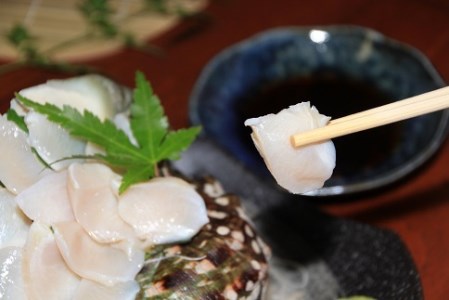 車海老(600g)・夜光貝(1kg)・ソデイカ(1㎏)