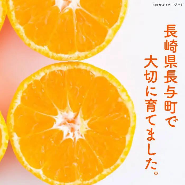 宮川早生みかんLサイズ約5kg[EBI011]温州みかん
