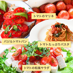【先行予約】 和歌山県由良町産 ゆらミニトマト 2kg×1箱※2025年10月中旬頃から順次発送予定(お届け日指定不可) / ミニトマト　トマト ハウス栽培 とまと 野菜 産地直送 新鮮 由良町 和歌