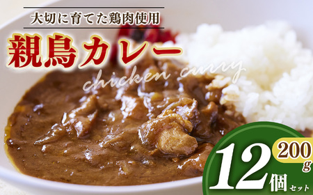 親鳥カレー 12個 セット 選べる 内容量 | 卵 たまご 玉子 タマゴ 生たまご 生卵 白鳳卵 朝食 お弁当 親鳥 カレー チキンカレー 奈良県 五條市