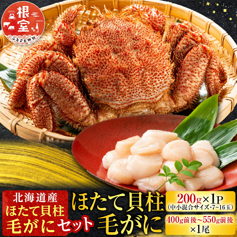 【ふるさと納税】 毛かに・ほたて貝柱セット ホタテ ほたて 帆立 帆立貝柱 ホタテ貝柱 貝柱 毛がに 毛蟹 けがに ケガニ かに カニ 蟹 お取り寄せ グルメ 海鮮 北海道 根室市 ふるさと納税 C-30043
