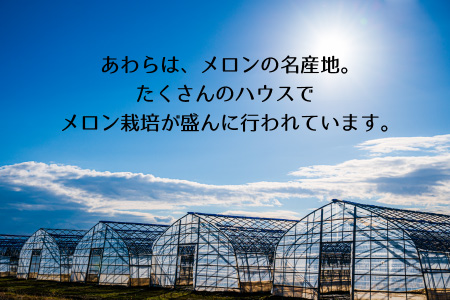 【先行予約】マルセイユメロン 2玉入 4Lサイズ ※2024年6月中旬より順次発送 ／ メロン フルーツ 果物 赤肉 花咲紅姫 贈答用 プレゼント 贈り物 国産 期間限定 産地直送 人気