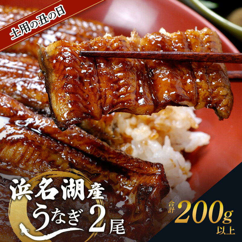 【ふるさと納税】土用の丑の日ギフト 浜名湖産うなぎ 蒲焼 2尾 (100g以上×2本)山椒たれ付き 国産 うなぎセット 国産うなぎ 浜名湖うなぎ 海老仙 静岡 浜松市　お届け：2026年7月20日～26日
