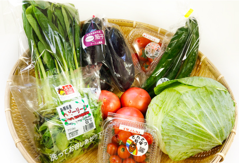 A-538 今が旬！新鮮野菜セット（8品目以上）