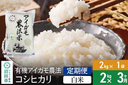 【白米】《定期便3回》令和6年産 新米予約 有機アイガモ農法コシヒカリ 2kg×1袋 金井農園