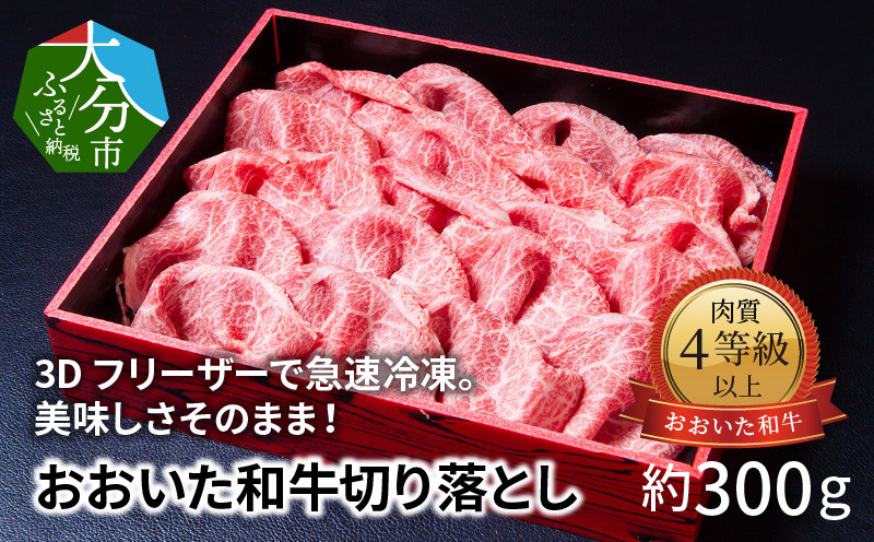 
                  3Dフリーザーで急速冷凍。美味しさそのまま！おおいた和牛切り落とし　約300g 牛肉 和牛切り落とし 冷凍 赤身 霜降り ブランド牛 すき焼き しゃぶしゃぶ ギフト 極上 A01096
                