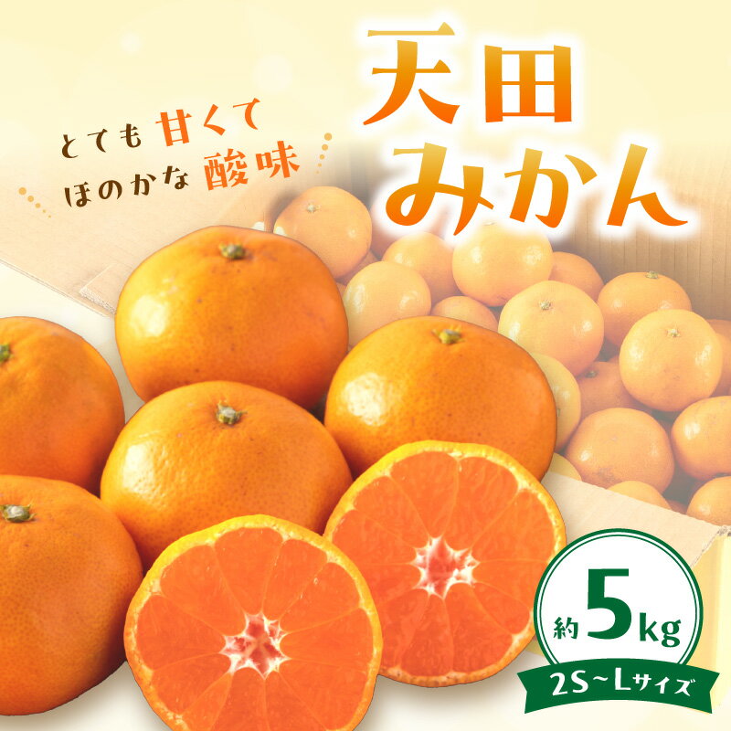 【ふるさと納税】岡農園直送！　天田みかん（温州みかん）5kg《先行予約》 ふるさと納税 みかん 5kg ふるさと納税 フルーツ 果物 くだもの 送料無料