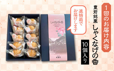 【全6回定期便】【進物箱】しゃくなげの香 10個入り《豊前市》【武蔵屋】お中元 ギフト 贈り物 和菓子[VBU021] 菓子 お菓子 スイーツ 菓子 甘い菓子 菓子 お菓子 スイーツ 菓子 甘い菓子 