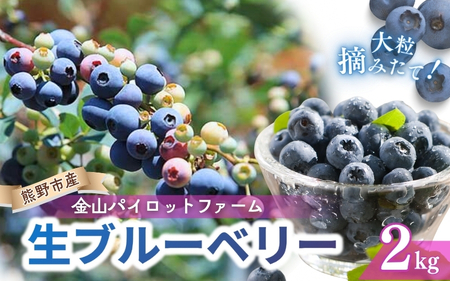 生果ブルーベリー　2㎏　旬 フルーツ 果物【knpr0007】