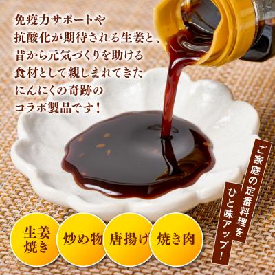 ふるさと納税 八代市 生姜焼きのたれ 2本セット_065-6678 |  | 02