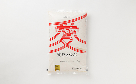 令和5年産 愛知県産 ブランド米 愛ひとつぶ 5kg　パールライス 安城工場精米【1469577】