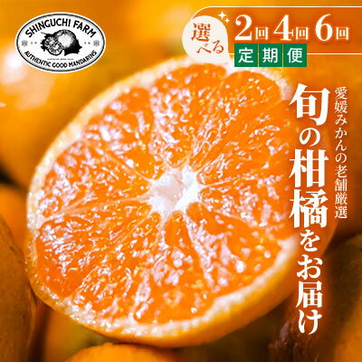 【ふるさと納税】【発送月固定定期便】愛媛の美味しい柑橘(お届け回数 2回/4回/6回)_ みかん ミカン 蜜柑 定期便 かんきつ 柑橘 柑橘類 まどんな 伊予柑 甘平 せとか 清見 果物 くだもの フルーツ 甘い 国産 愛媛 愛媛県 八幡浜市 産直 産地直送 送料無料 【G4055158】