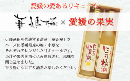 「愛あるリキュール」500ml×2種セット にごり梅酒・にごり小夏酒 愛媛県産フルーツ使用 【愛媛 近藤酒造】