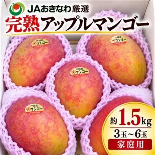 【2027年6月下旬から順次発送・訳あり】完熟アップルマンゴー約1.5kg(3玉～6玉)【配送不可地域：離島】【1546407】