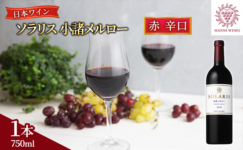ワイン 信州ワイン 赤 ソラリス 小諸 メルロー 750ml×1本 ワイン 赤ワイン マンズワイン 酒 お酒 洋酒 果実酒 ぶどう酒 長野 長野県小諸市