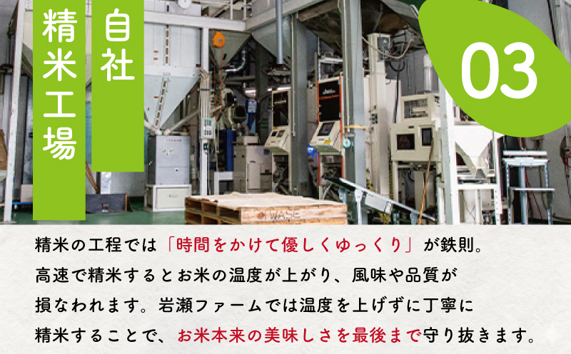 新米 9月配送 【コシヒカリ 10kg】 米 お米 こめ コメ こしひかり 8年度産 