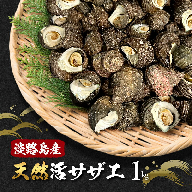 【ふるさと納税】淡路島産天然活サザエ 1kg 兵庫県 洲本市 淡路島 　お届け：6月上旬～3月上旬
