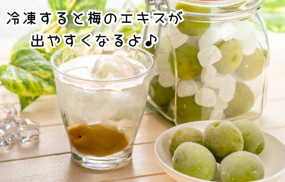 【2026年7月上旬～出荷予定】梅 冷凍 青梅 南高梅 5kg ( 1kg × 5袋) 秀品 2L or Lサイズ 和歌山県産 紀州有田  【みかんの会】