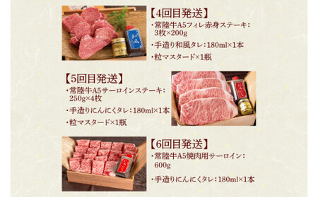 DU-114 【定期便 全8回】茨城県産 常陸牛 8ヶ月 定期便 Aコース ハンバーグ 焼肉 すき焼き しゃぶしゃぶ フィレ サーロイン ステーキ レトルトカレー【肉のイイジマ】