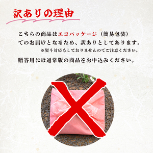 訳あり ローストビーフ 600g （300g×2本） 簡易包装 SDGs