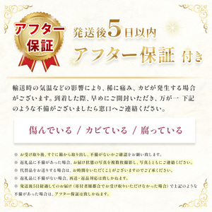 甘くておいしい！べにはるか 1kg 先行予約 ＜ 2025年9月中旬 ～ 12月 の期間より順次発送予定 ＞｜ さつまいも サツマイモ 芋 いも 野菜 紅はるか べにはるか 1kg 5kg 10kg