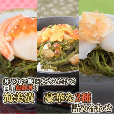 ふるさと納税 名取市 丼ぶりご飯に乗せるだけで 簡単 海鮮丼! 海美漬 豪華な 3種 詰合せ